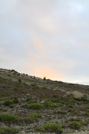 Robe Resort - Coastline near Glass Beach